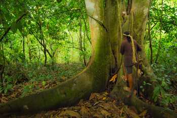 Maleku Indigenous Reserve 